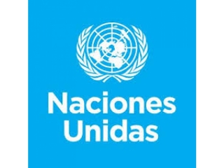 ONU Consulta a los grupos de sociedad civil- plazo 9 de marzo Recibidos x