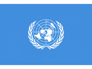 Informe: Respuesta Integral a COVID-19