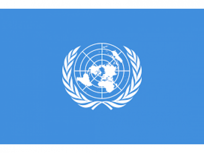 Informe: Respuesta Integral a COVID-19