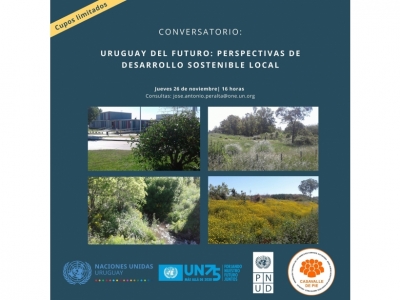  Uruguay del Futuro, perspectivas de desarrollo sostenible local