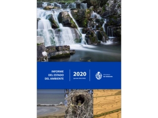 Informe del Estado del Ambiente 2020