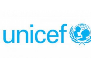 Llamado UNICEF: “Diagnóstico cualitativo y caracterización de las uniones tempranas, matrimonios infantiles, parejas fictas o forzadas en Uruguay”