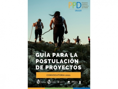PPD abre llamado para presentación de proyectos