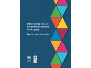 Transiciones hacia el desarrollo sostenible en Uruguay. Aportes para el debate