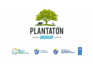Plantatón. Campaña de Crowdfunding para plantar 1.000 árboles nativos en Punta del Diablo
