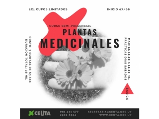  Curso de reconocimiento y uso de plantas como medicina | Promo 2x1