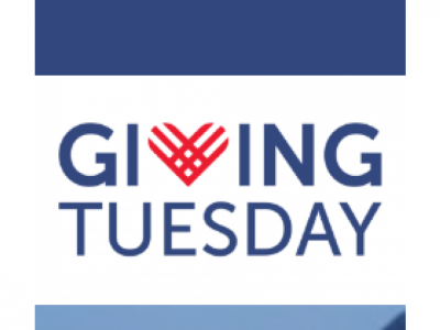 Starling Collective: últimos días para aplicar a la beca para agentes de cambio de GivingTuesday