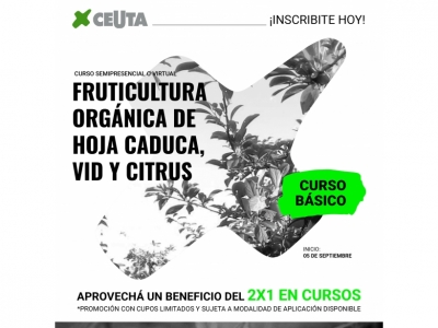 Cursos semipresencial o virtuales de CEUTA