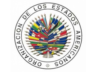 Consulta nacional OEA