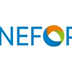 Propuestas de formación profesional para población trans