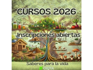 Beneficio cursos CEUTA