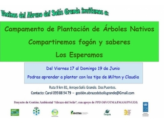 Campamento de Plantación de Árboles Nativos