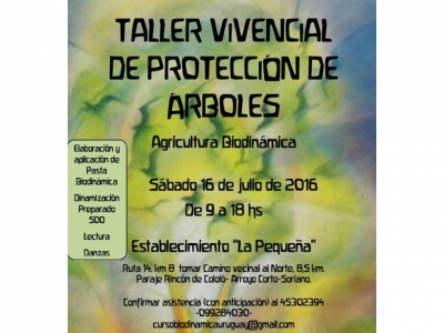 Taller Vivencial de Protección de árboles