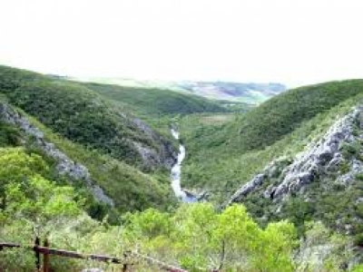 Gira de los Bosques de Quebrada