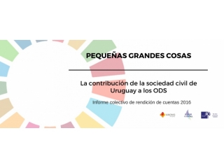 Rendir Cuentas: informe de rendición colectiva de la sociedad civil uruguaya 2016