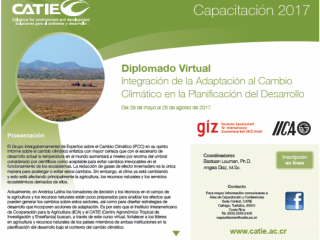 Diplomado virtual