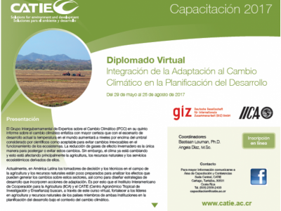 Diplomado virtual