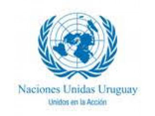 Pasantía en la Oficina de la Coordinadora Residente de Naciones Unidas