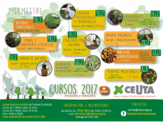 Cursos de invierno CEUTA