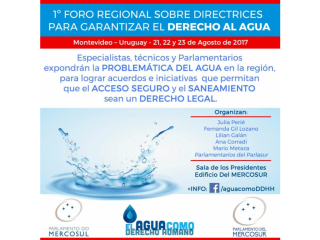 Primer Foro Regional sobre directrices para garantizar el derecho al agua