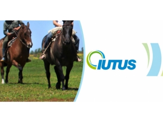 Boletín Nº 33 del Instituto Uruguayo de Turismo Sustentable (IUTUS)