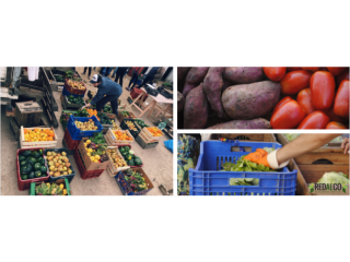 Red de Alimentos Compartidos (Redalco)