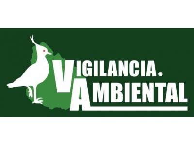  Lanzamiento de la Plataforma de Monitoreo Ambiental Ciudadano 