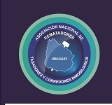 Asociación Nacional de Rematadores, Tasadores y Corredores Inmobiliarios